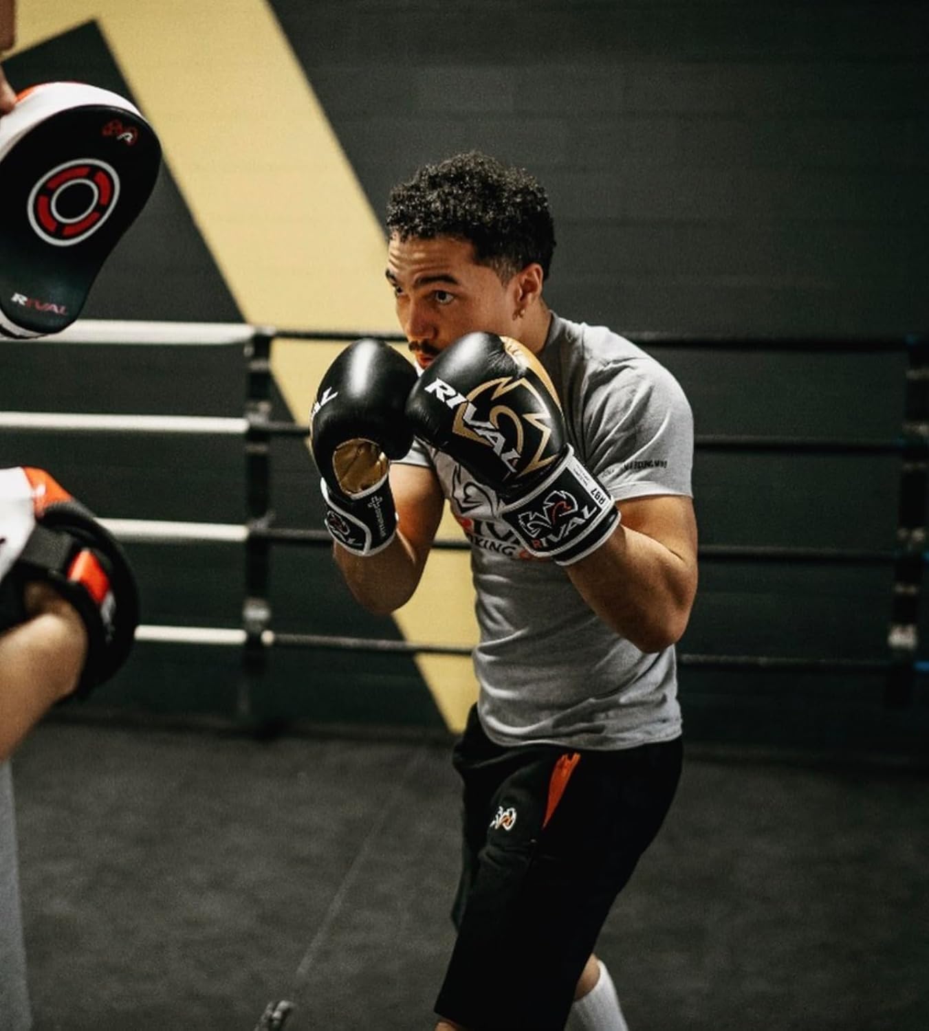 Boxing RB7 Fitness plus Bag Gloves, Ergo Strap System and High-Density Layered Padding for Heavy Bag and Mitt Work